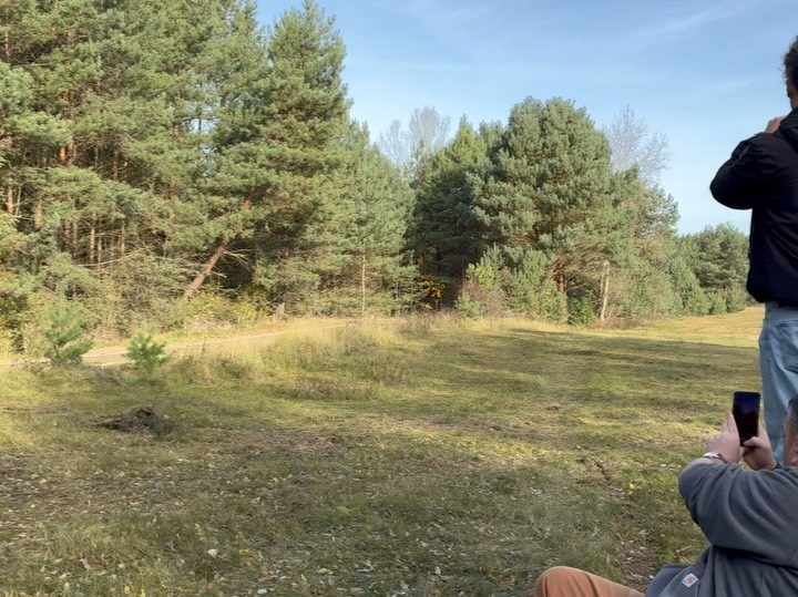 Instagram post from rocco_tautenhahn. This post is in position 8.