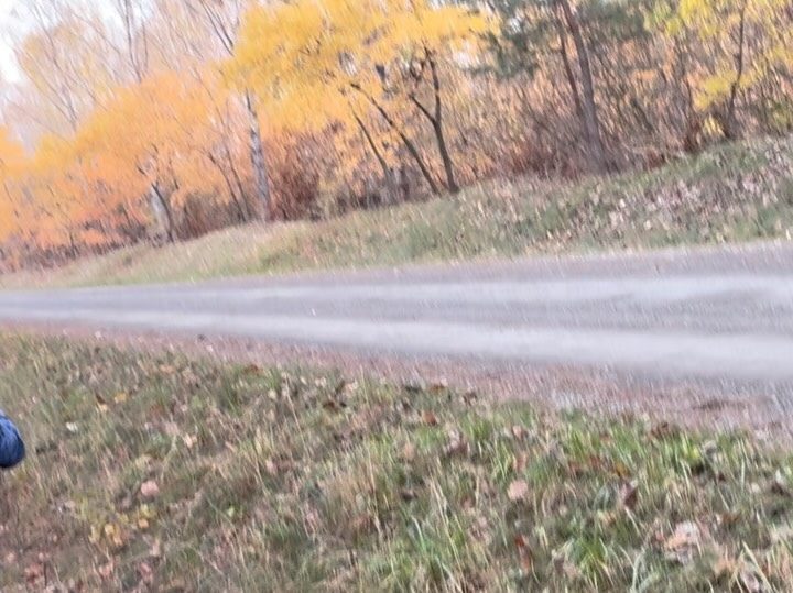 Instagram post from rocco_tautenhahn. This post is in position 3.